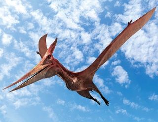 Obrázek z Magnet 3D 7x9cm - pteranodon (25) 